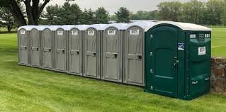 Best Standard Portable Toilet Rental  in San Benito, TX